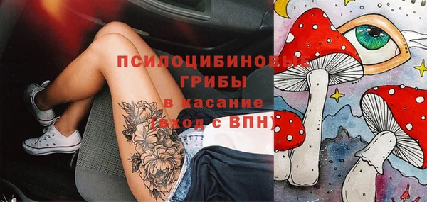 гидра Семилуки