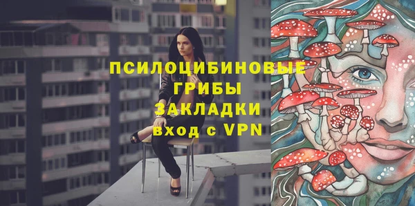 гидра Семилуки