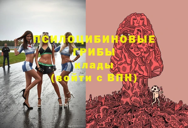 гидра Семилуки