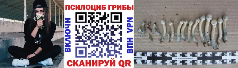 Галлюциногенные грибы MAGIC MUSHROOMS Шенкурск