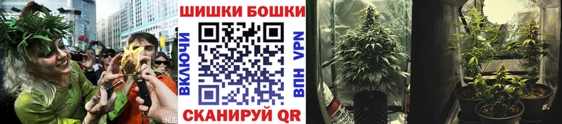 Канабис ГИДРОПОН  где найти   Шенкурск 